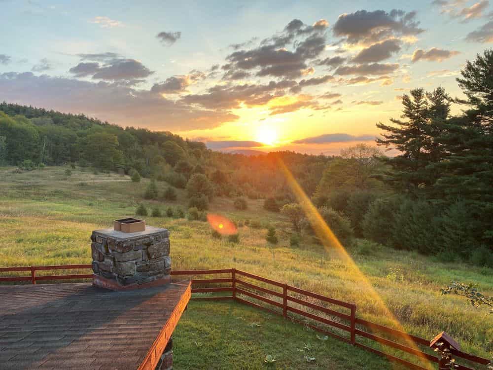 Hero image for Moore's Landscaping and Tree Service