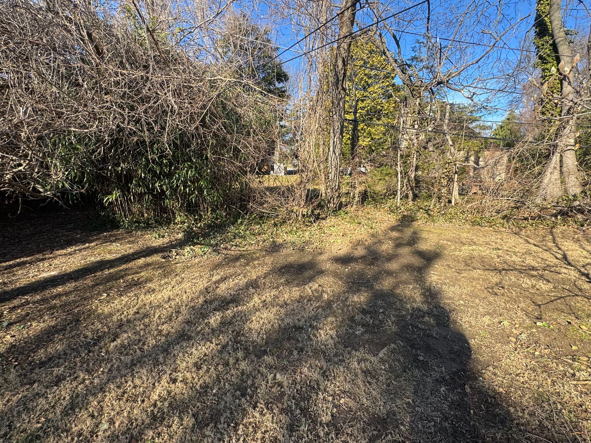Clearing the Way to a Fresh Yard