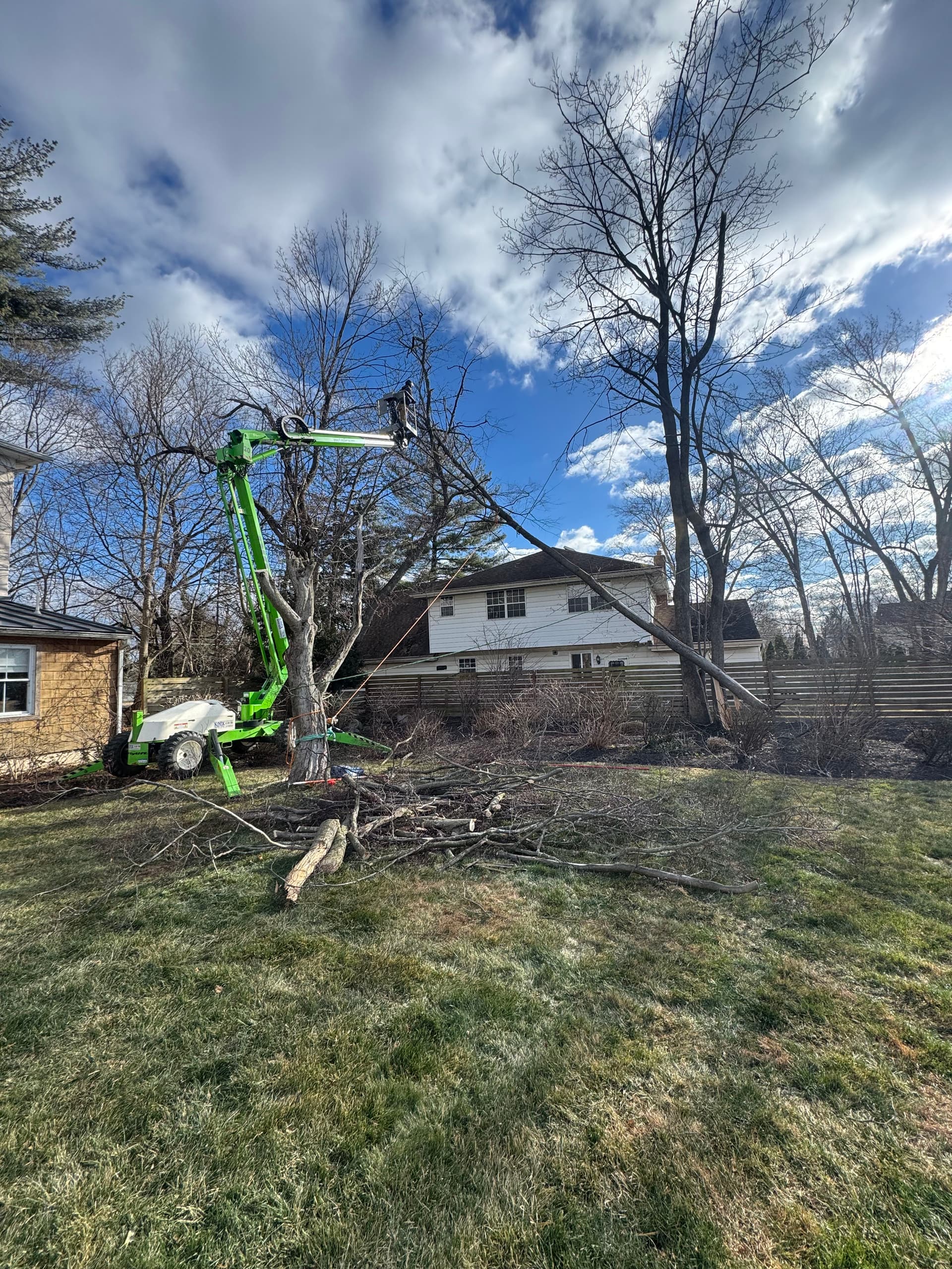 Expert Storm Response and Tree Removal at Residential Property