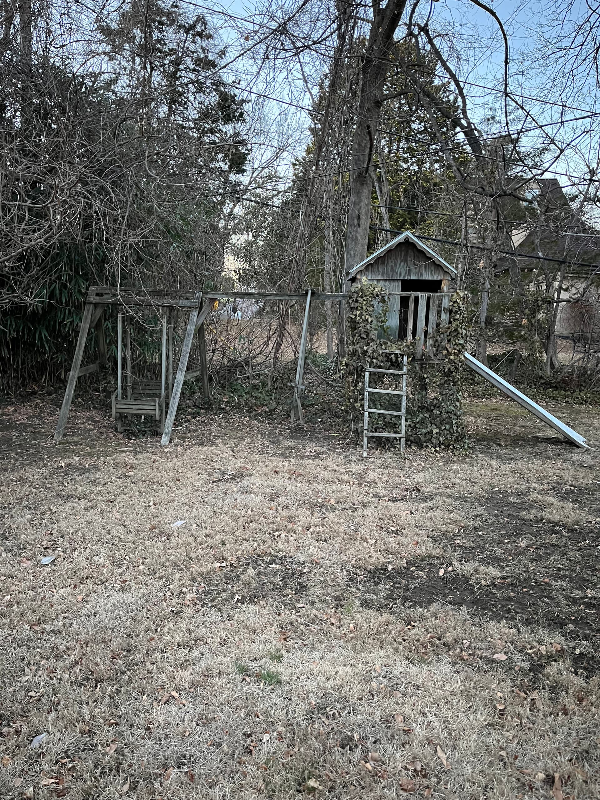 Clearing the Way to a Fresh Yard