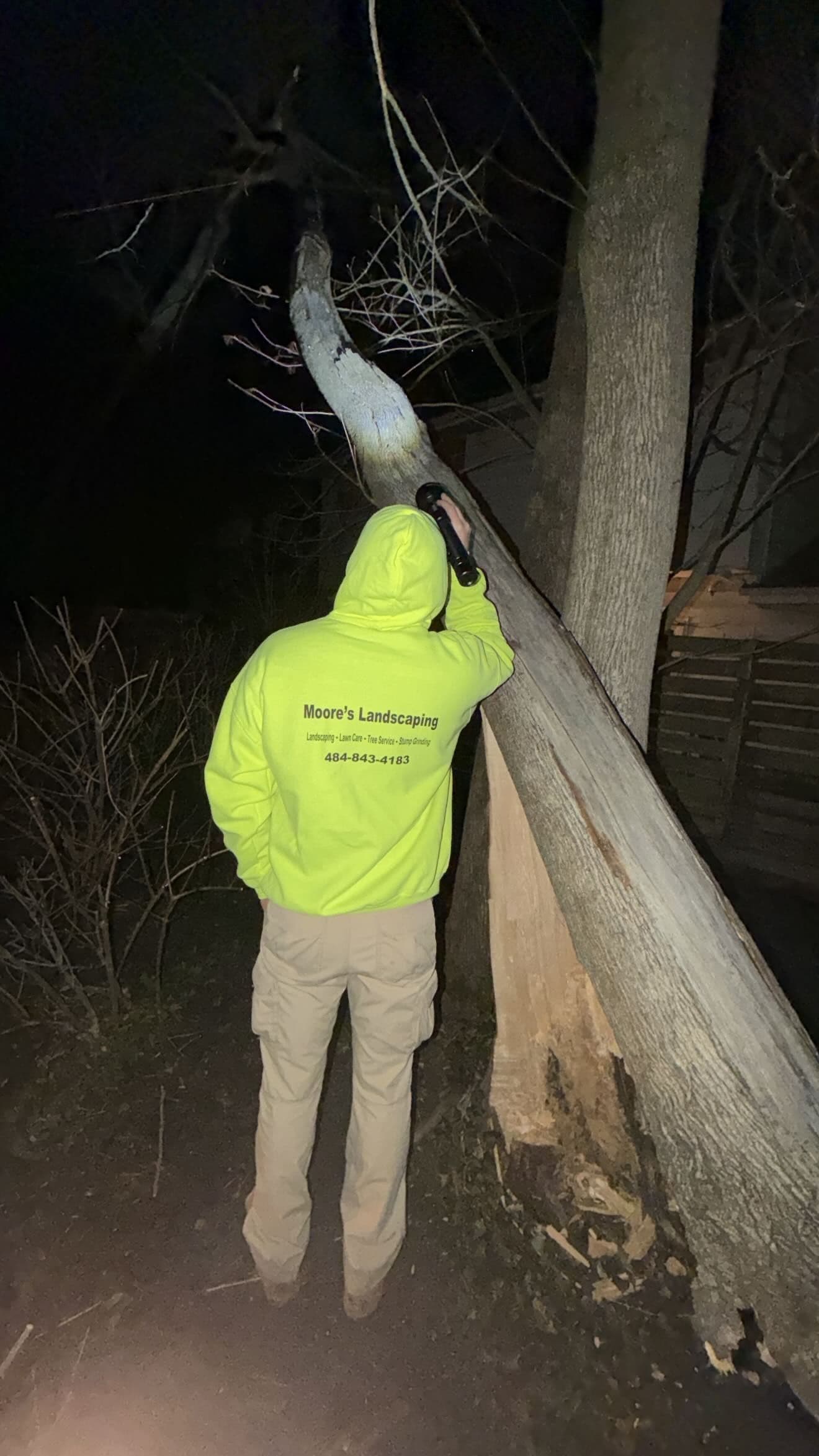 Expert Storm Response and Tree Removal at Residential Property
