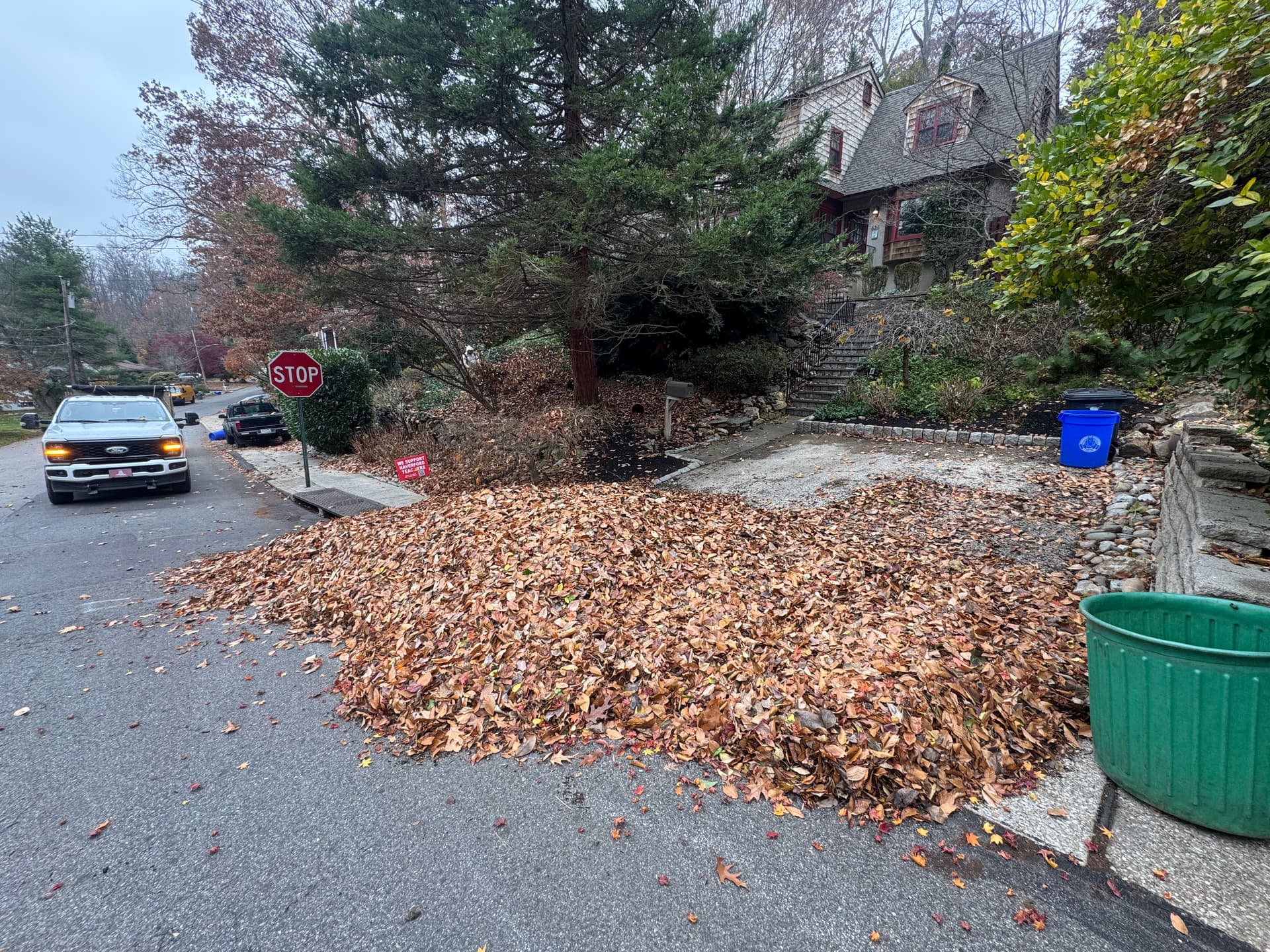 Leaf Cleanup Service in Havertown