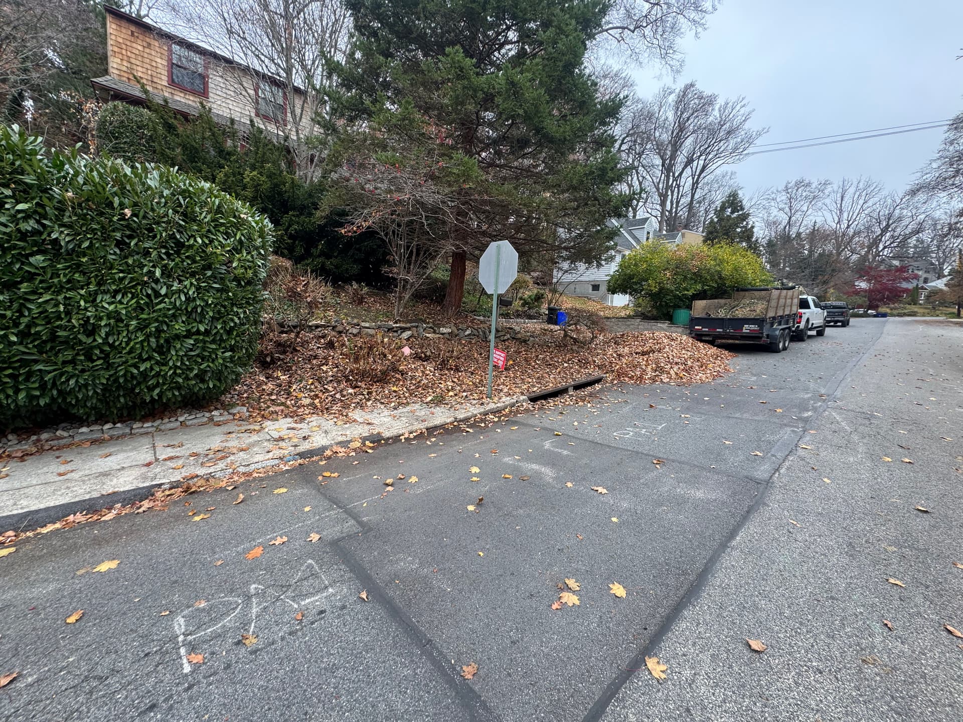 Leaf Cleanup Service in Havertown