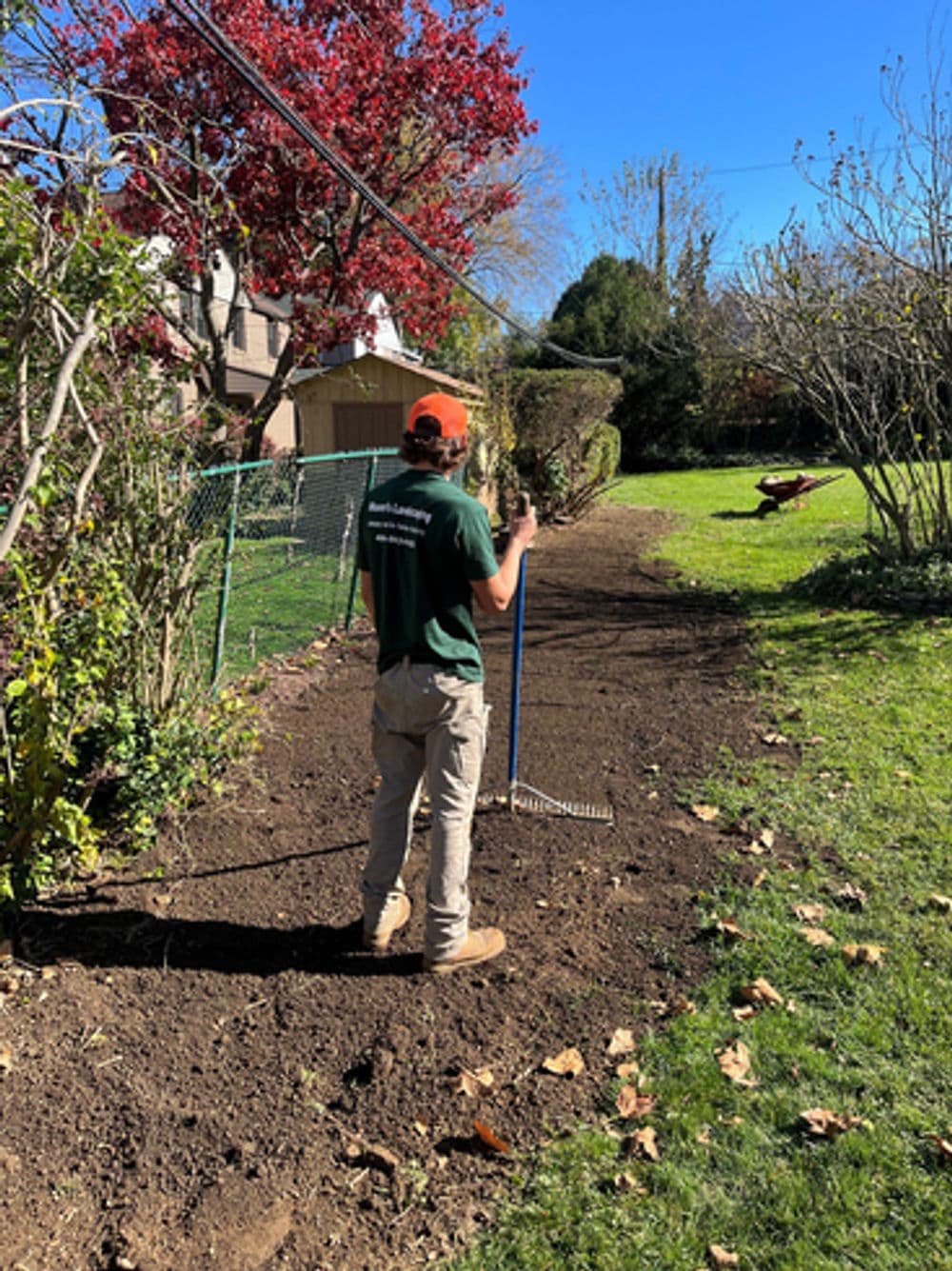 Landscape worker raking soil in a backyard with colorful trees and clear blue sky.
