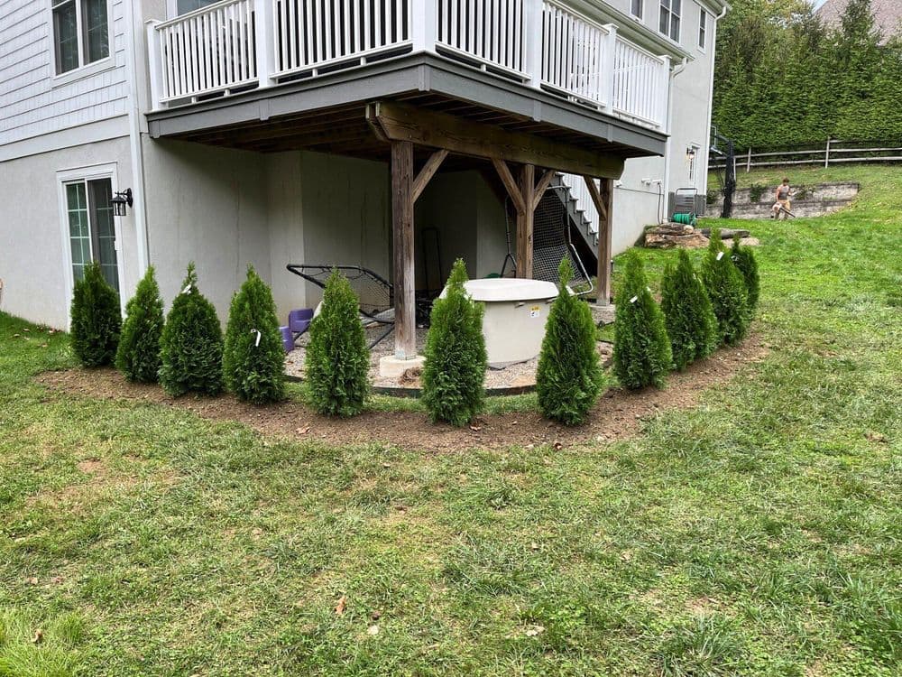 Hot tub area surrounded by neatly arranged evergreen shrubs under a deck in a green yard.